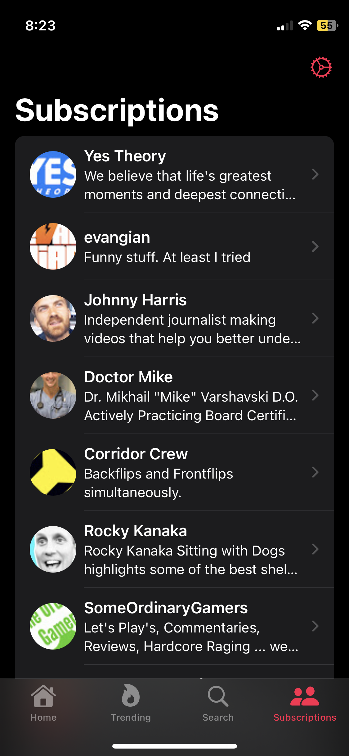 SmallTube Screenshot - Subscriptions